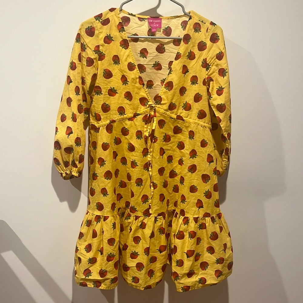 Edie parker x J crew XXS strawberry coverup dress